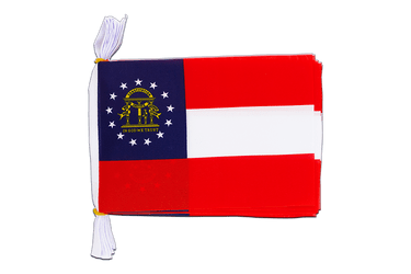 USA Georgia Flag Bunting 6x9", 3 m
