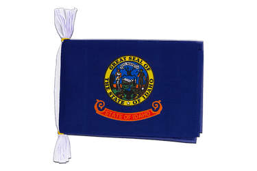 USA Idaho Flag Bunting 6x9", 3 m
