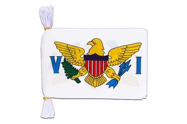 USA Virgin Islands Flag Bunting 6x9", 3 m