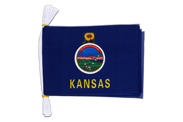 USA Kansas Flag Bunting 6x9", 3 m