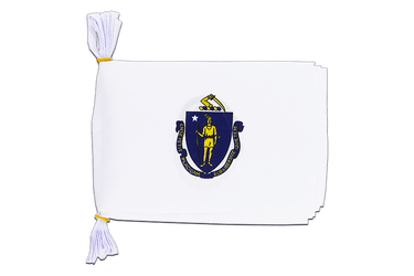 USA Massachusetts Flag Bunting 6x9", 3 m
