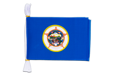 USA Minnesota Flag Bunting 6x9", 3 m