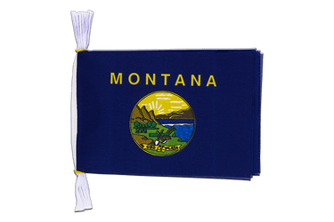 USA Montana Flag Bunting 6x9", 3 m