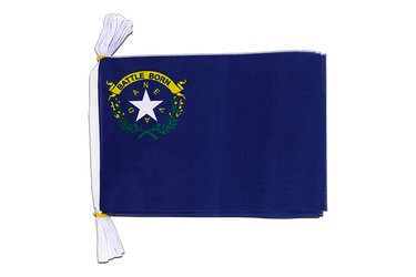 USA Nevada Flag Bunting 6x9", 3 m