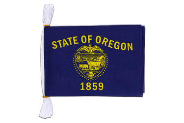USA Oregon Flag Bunting 6x9", 3 m