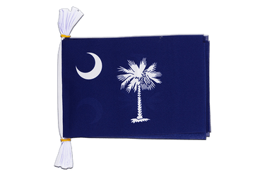 USA South Carolina - Flag Bunting 6x9", 3 m