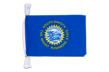 USA South Dakota Flag Bunting 6x9", 3 m