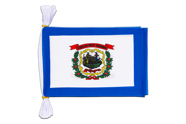 USA West Virginia Flag Bunting 6x9", 3 m