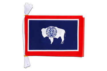 USA Wyoming Flag Bunting 6x9", 3 m