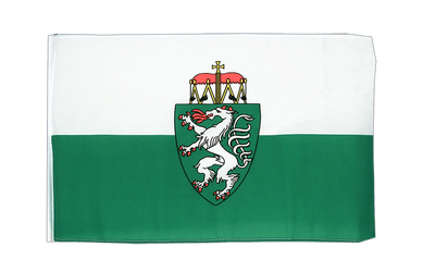 Steiermark Flagge - 30 x 45 cm