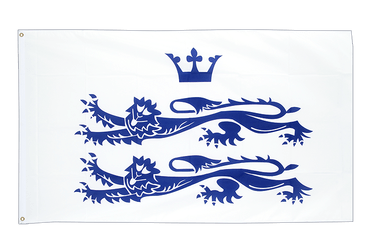 Berkshire Flagge 90 x 150 cm