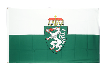 Polen Hissflagge 90 x 150 cm Fahne Flagge Bielsko-Biala