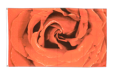 Rose Flagge 90 x 150 cm