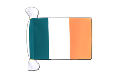 Ireland Flag Bunting 6x9", 9 m
