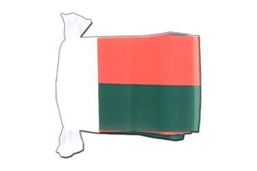 Madagascar Flag Bunting 6x9", 9 m