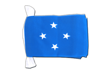 Micronesia Flag Bunting 6x9", 9 m