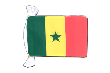 Guirlande fanion Sénégal - 15 x 22 cm