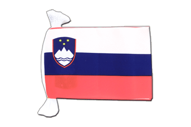 Slovenia Flag Bunting 6x9", 9 m