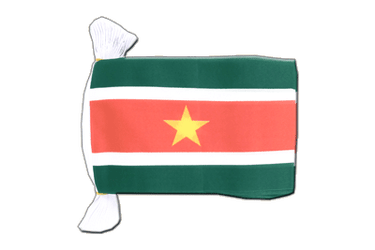 Suriname Flag Bunting 6x9", 9 m