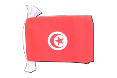 Guirlande fanion Tunisie - 15 x 22 cm