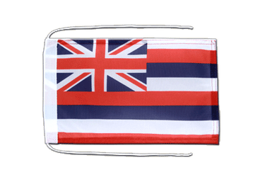 Hawaii Flag with ropes 8x12"