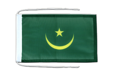 Mauritania Flag with ropes 8x12"