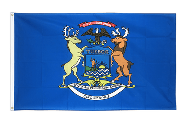 Michigan Flagge 60 x 90 cm
