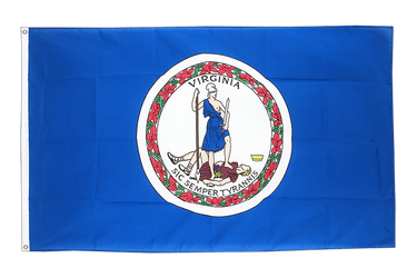 Virginia Flagge 60 x 90 cm