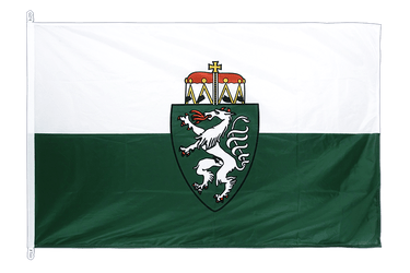 Styria Flag PRO 100 x 150 cm