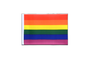 Rainbow Mini Flag 4x6"