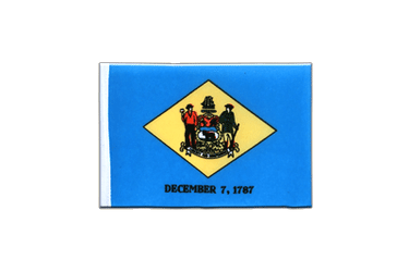 Delaware Mini Flag 4x6"