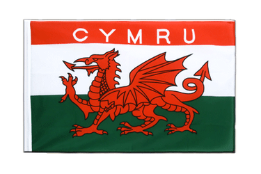 Wales CYMRU Sleeved Flag ECO 2x3 ft