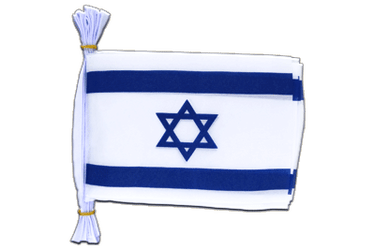 Israel Flag Bunting 6x9", 3 m