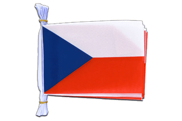 Czech Republic Flag Bunting 6x9", 3 m
