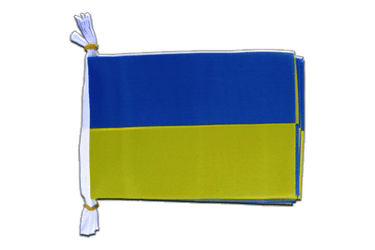 Ukraine Flag Bunting 6x9", 3 m