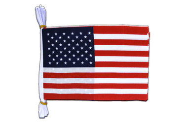 Flag Bunting USA - 6x9", 3 m