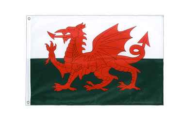 Wales Hissfahne - 60 x 90 cm VA Ösen PRO