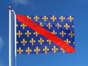 Bourbonnais Flagge