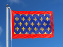 Maine Flagge