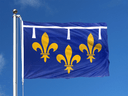 Orléanais Flagge