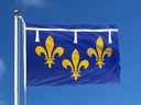 Orléanais Flag