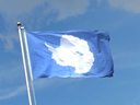 Antarktis Flagge