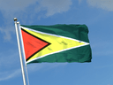 Guyana Flagge