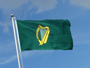 Leinster Flagge