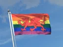 Rainbow with welsh dragon Flag