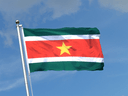 Suriname Flag