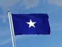 USA Bonnie Blue Mississippi 1861 Flag