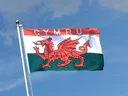 Wales CYMRU Flagge