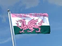 Wales CYMRU Pink Flagge