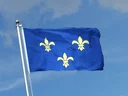 Île-de-France Flag